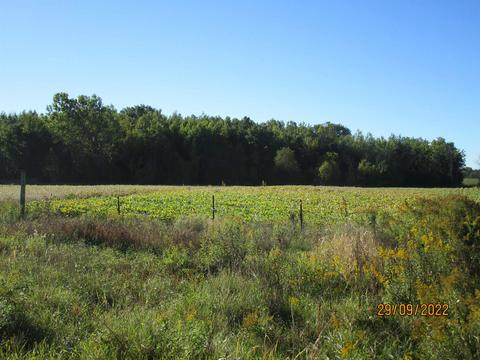 5209 Plank, Gladwin, MI 48624 photo 22