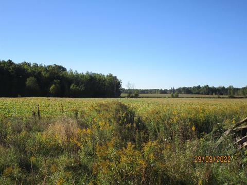 5209 Plank, Gladwin, MI 48624 photo 23