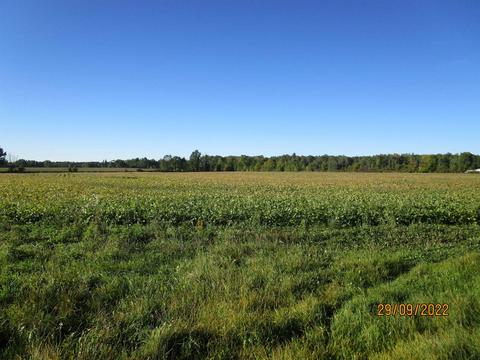 5209 Plank, Gladwin, MI 48624 photo 19