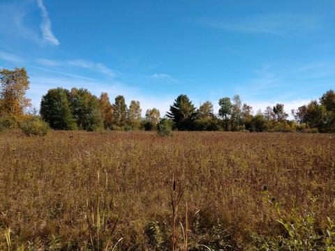 Parcel C Putnam, Hale, MI 48739