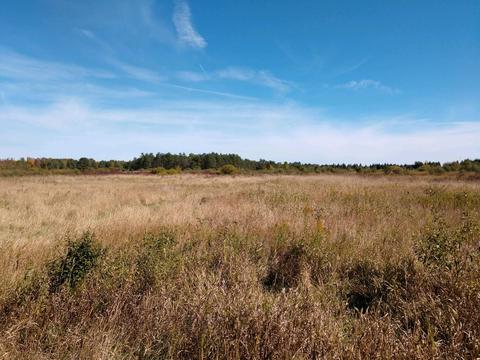 Parcel B Putnam, Hale, MI 48739