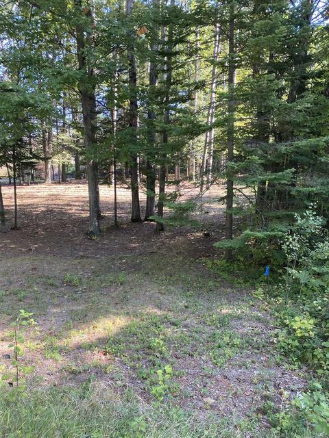 Lot 11 Joe Marks, Kewadin, MI 49648