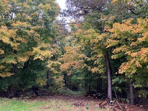 a w county line LOT : A, Buckley, MI 49643
