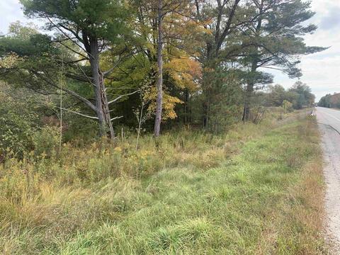 Tbd W Ludington, Lake, MI 48632