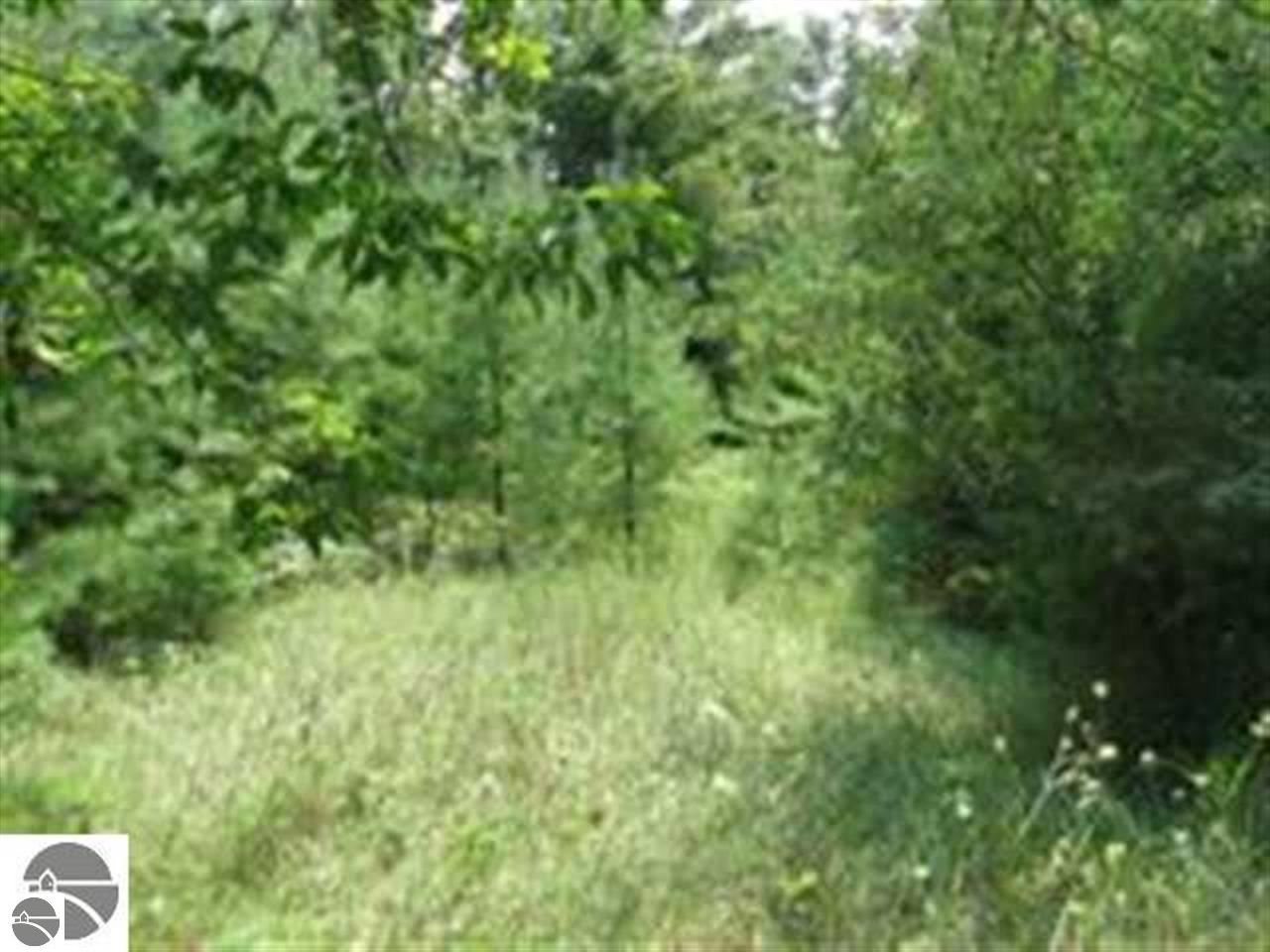 0 Michigan 55 Unit 17 4