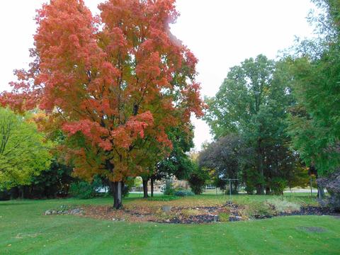 119 E North, Ithaca, MI 48847 photo 7