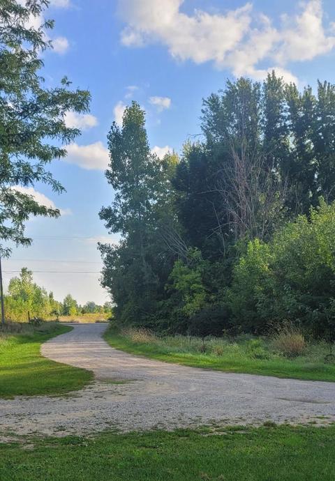 1145 E Riv, Mount Pleasant, MI 48858 photo 4