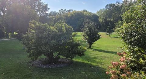 1145 E Riv, Mount Pleasant, MI 48858 photo 7
