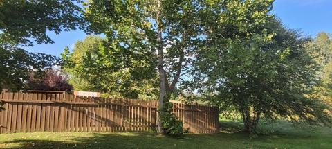 1145 E Riv, Mount Pleasant, MI 48858 photo 30