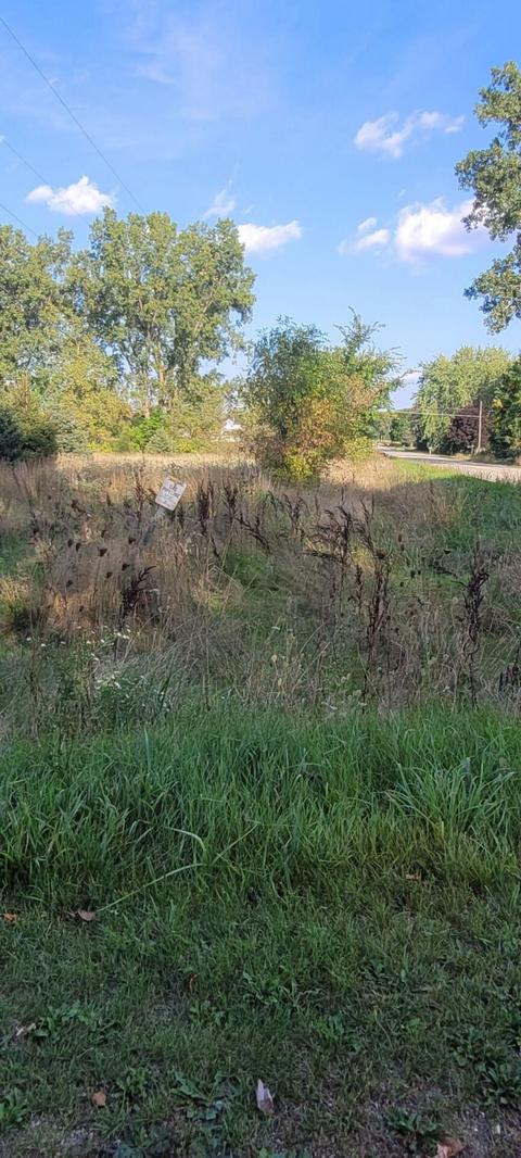 1145 E Riv, Mount Pleasant, MI 48858 photo 51