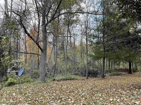 541 Witbeck, Clare, MI 48617 photo 37
