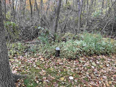 541 Witbeck, Clare, MI 48617 photo 39