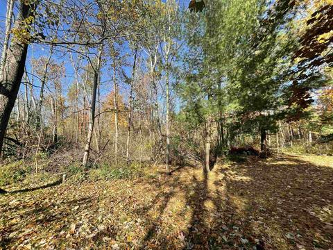 541 Witbeck, Clare, MI 48617 photo 38