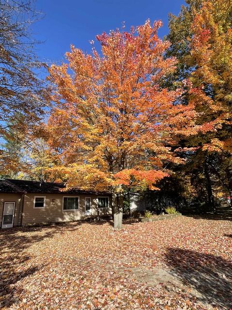 541 Witbeck, Clare, MI 48617 photo 46