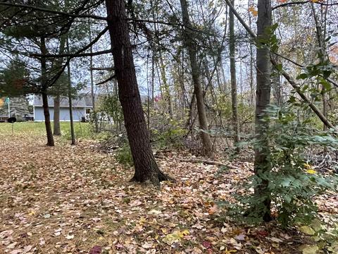 541 Witbeck, Clare, MI 48617 photo 43