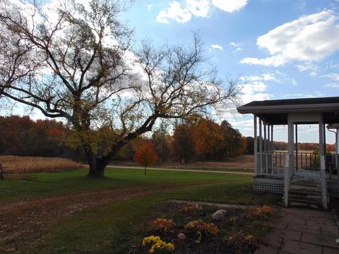 1475 S Osborn, Sumner, MI 48889 photo 8