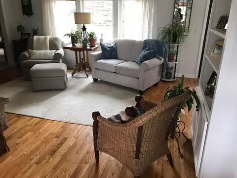 1214 Willows, Ithaca, MI 48847 photo 13