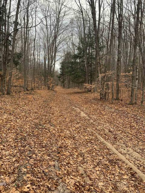 Near Stark Road, Mancelona, MI 49659