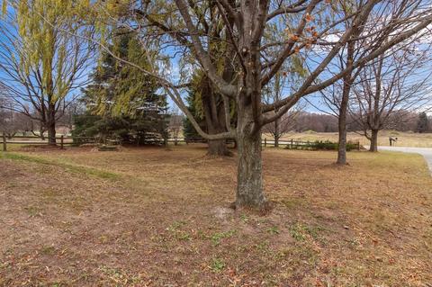 12841 S Solon, Cedar, MI 49621 photo 8