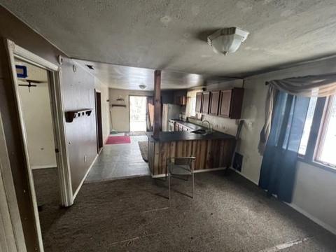 6312 E Cutler, Edmore, MI 48829 photo 5