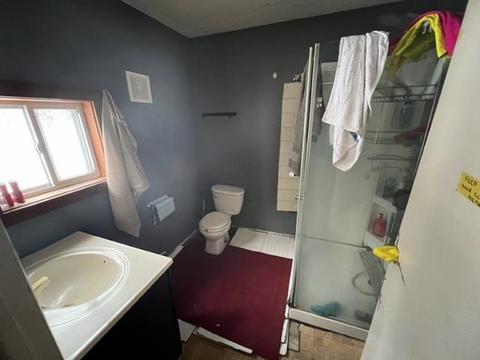 6312 E Cutler, Edmore, MI 48829 photo 7