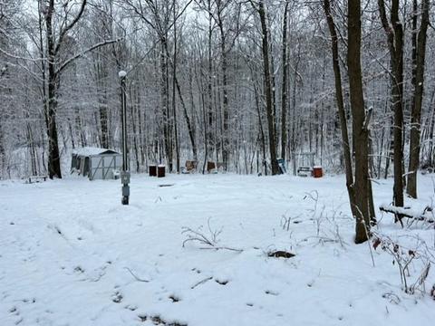 6312 E Cutler, Edmore, MI 48829 photo 14