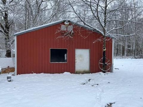 6312 E Cutler, Edmore, MI 48829 photo 8