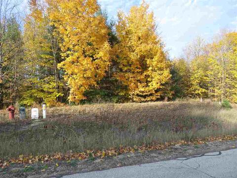 100 Eden Street, Kingsley, MI 49649