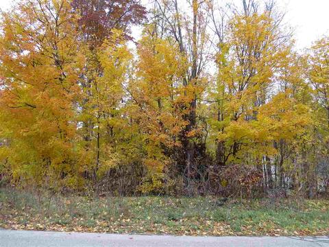 Lot 84 Eden, Kingsley, MI 49649