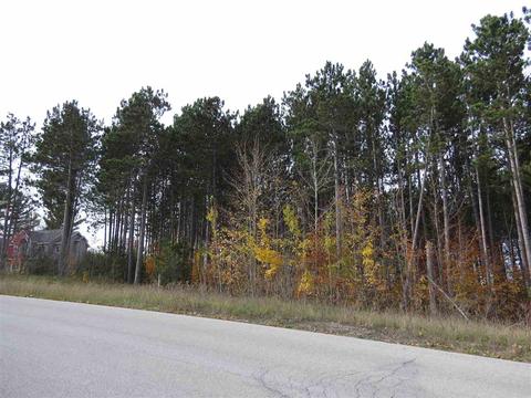 Lot 77 Eden, Kingsley, MI 49649