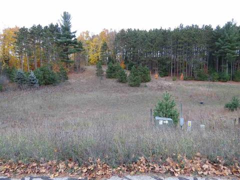 Lot 42 Pleasant, Kingsley, MI 49649