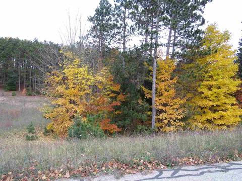 lot41 Pleasant, Kingsley, MI 49649