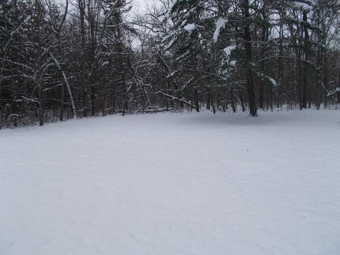 5761 Esmond, Hale, MI 48739 photo 27