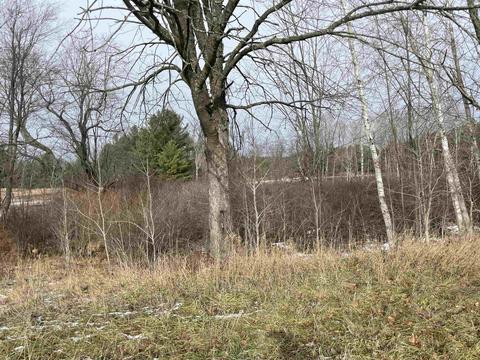 1692 E 16 12, Manton, MI 49663 photo 9