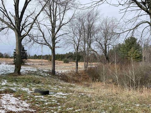 1692 E 16 12, Manton, MI 49663 photo 10