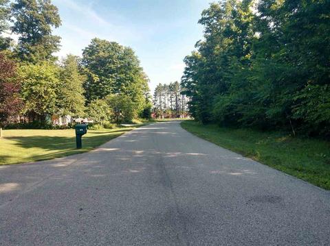 Lot 13 Lipp Farm, Benzonia, MI 49616