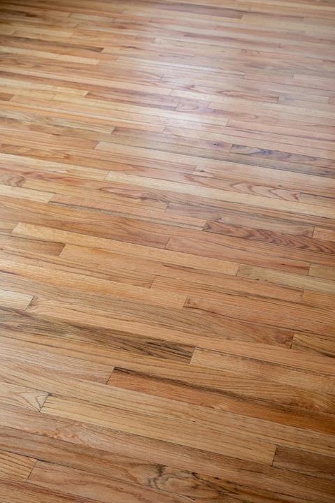 2495 E Kasson, Cedar, MI 49621 photo 13