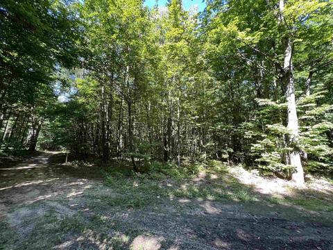 Stark, Alba, MI 49612 photo 3