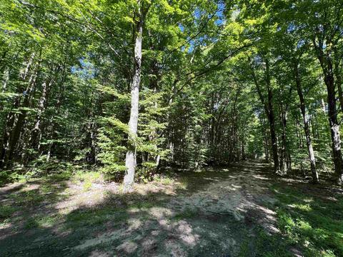Stark, Alba, MI 49612 photo 4