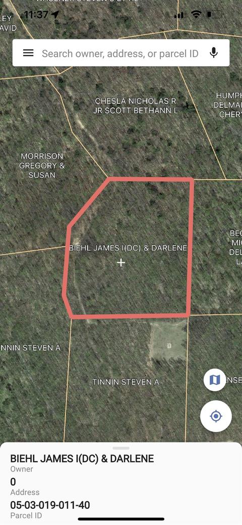 Stark, Alba, MI 49612 photo 2
