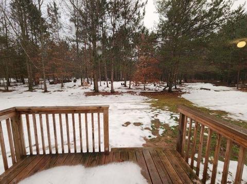 10451 Gray Fox, Interlochen, MI 49643 photo 7