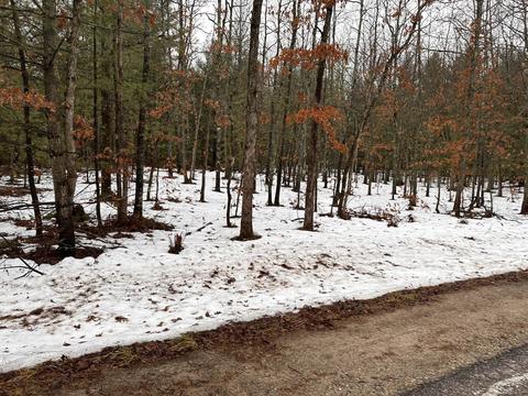 APT f Albrecht, Interlochen, MI 49643