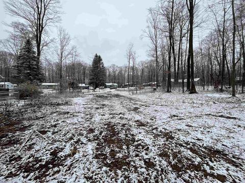 3910 White Birch, Grawn, MI 49637