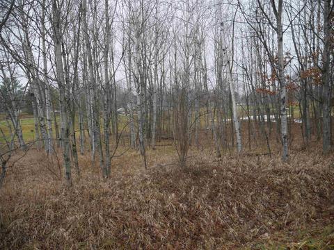 00 Linksview #LOT 222, Gladwin, MI 48624