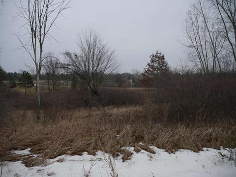 00 Greensboro #LOT 177, Gladwin, MI 48624