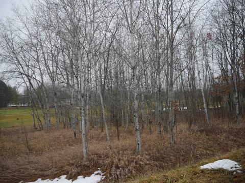 00 Track Iron #LOT 301, Gladwin, MI 48624