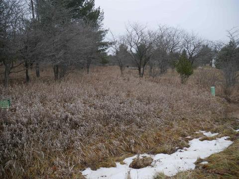 00 Linksview #LOT 245, Gladwin, MI 48624