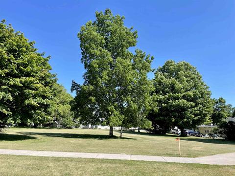 416 Corning, Frankfort, MI 49635