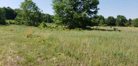 lot35 Alden #LOT : 35, Alden, MI 49612