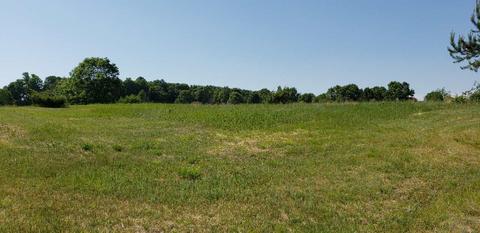 lot36 Alden #LOT : 36, Alden, MI 49612